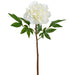 26" Real Touch Peony Silk Flower Stem -White (Pack of 12) - FSP627-WH