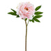 26" Real Touch Peony Faux Flower Stem -Soft Pink (Pack of 12) - FSP630-PK/SO