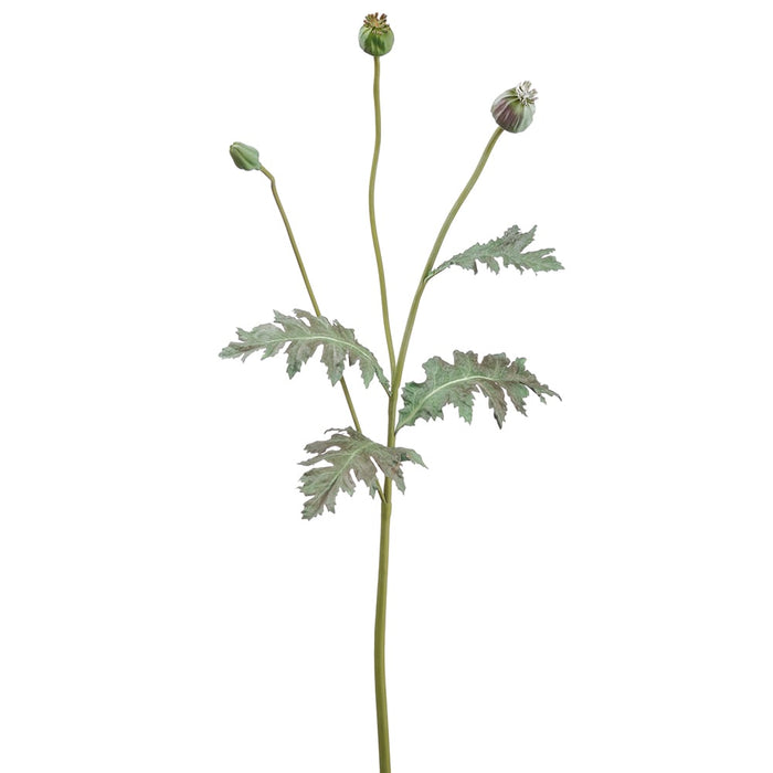 36" Artificial Poppy Pod Flower Stem -Green (pack of 12) - FSP637-GR