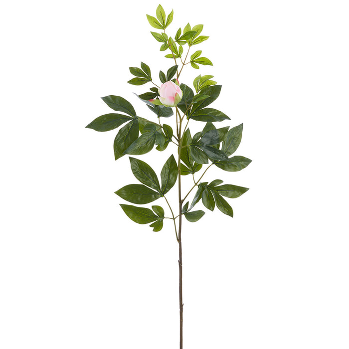 37" Real Touch Peony Bud Silk Flower Stem -Blush (Pack of 6) - FSP645-BS