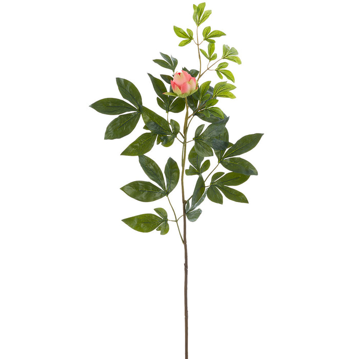 37" Real Touch Peony Bud Silk Flower Stem -Peach (Pack of 6) - FSP645-PE