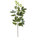 37" Real Touch Peony Bud Silk Flower Stem -White (Pack of 6) - FSP645-WH