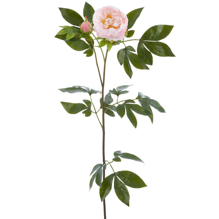 33" Real Touch Peony With Bud Silk Flower Stem -Blush (Pack of 6) - FSP648-BS