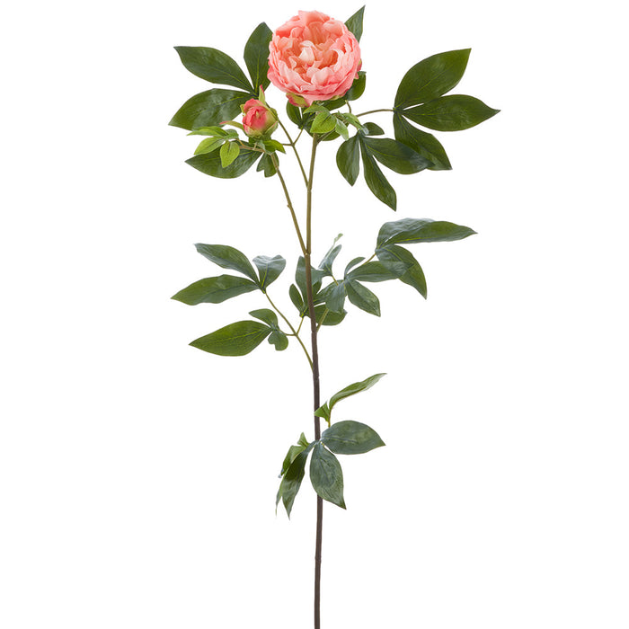 33" Real Touch Peony With Bud Silk Flower Stem -Peach (Pack of 6) - FSP648-PE