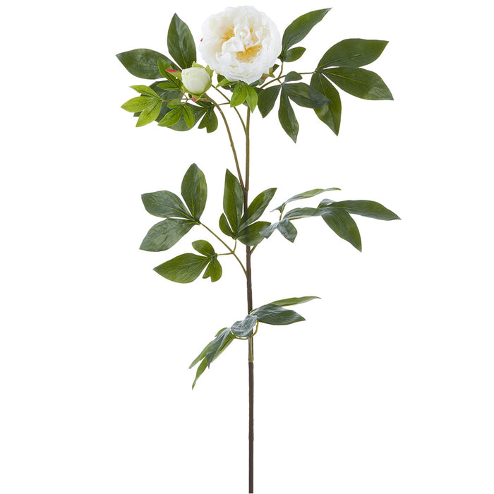 33" Real Touch Peony With Bud Silk Flower Stem -White (Pack of 6) - FSP648-WH