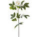 33" Real Touch Peony With Bud Silk Flower Stem -White (Pack of 6) - FSP648-WH