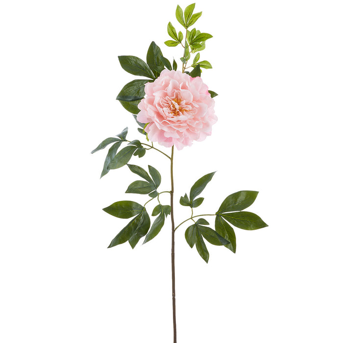 36" Real Touch Peony Silk Flower Stem -Pink (Pack of 6) - FSP650-PK