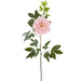 36" Real Touch Peony Silk Flower Stem -Pink (Pack of 6) - FSP650-PK