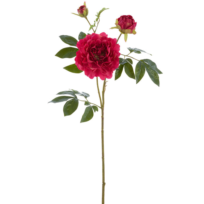 34" Real Touch Peony With Buds Silk Flower Stem -Orchid (Pack of 6) - FSP655-OC