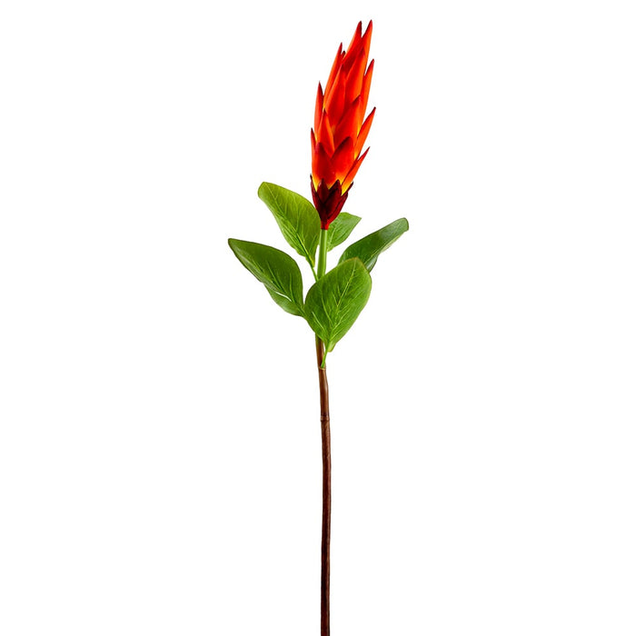 37" Artificial Torch Protea Flower Stem -Flame (pack of 12) - FSP669-FL