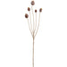 30" Artificial Poppy Pod Flower Stem -Brown (Pack of 12) - FSP670-BR