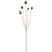 30" Artificial Poppy Pod Flower Stem -Burgundy (Pack of 12) - FSP670-BU