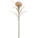 25" Protea Artificial Flower Stem -Beige/Tan (pack of 12) - FSP678-BE/TN