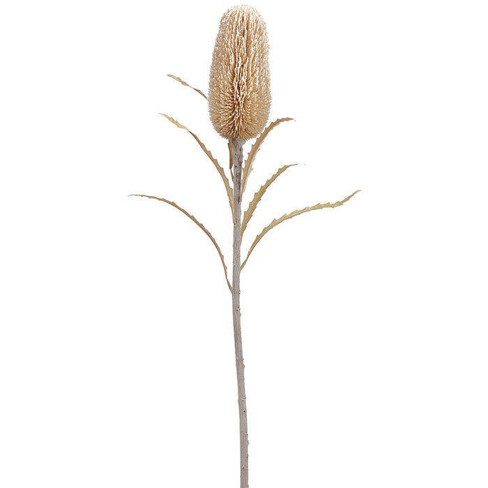 28" Protea Artificial Flower Stem -Beige/Tan (pack of 12) - FSP679-BE/TN