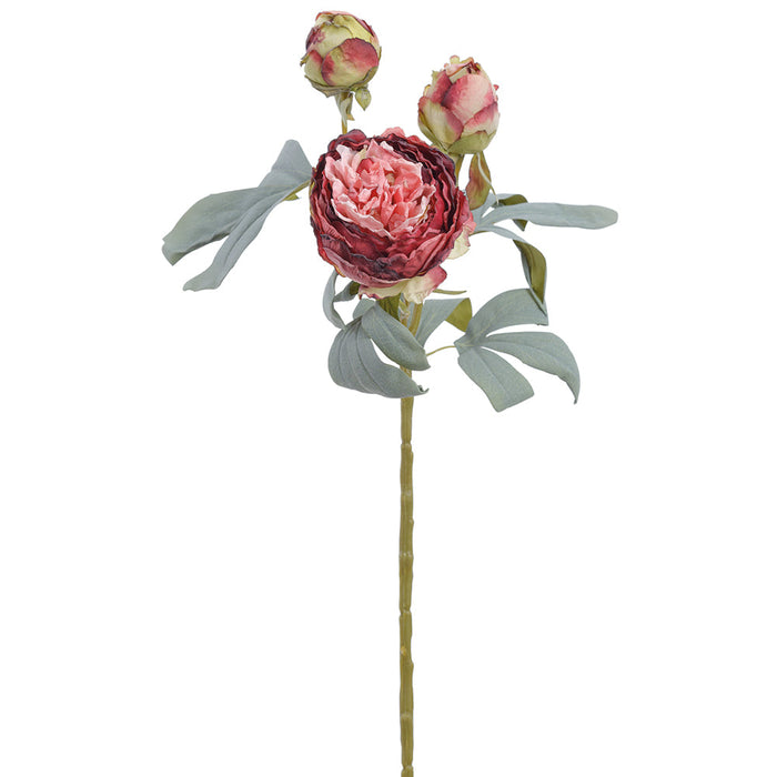 24" Dried-Look Large Peony Silk Flower Stem -Burgundy/Pink (Pack of 12) - FSP691-BU/PK