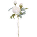 24" Dried-Look Large Peony Silk Flower Stem -Cream (Pack of 12) - FSP691-CR