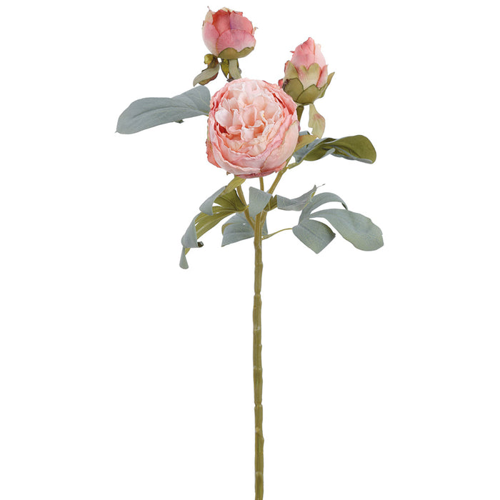 24" Dried-Look Large Peony Silk Flower Stem -2 Tone Pink (Pack of 12) - FSP691-PK/TT