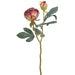 19" Dried-Look Peony Silk Flower Stem -2 Tone Burgundy (Pack of 12) - FSP693-BU/TT