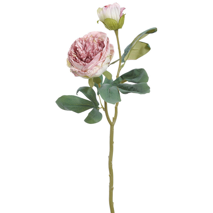 19" Dried-Look Peony Silk Flower Stem -2 Tone Lavender (Pack of 12) - FSP693-LV/TT