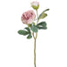 19" Dried-Look Peony Silk Flower Stem -2 Tone Lavender (Pack of 12) - FSP693-LV/TT