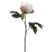 18" Silk Peony Bud Flower Spray -Cream (pack of 12) - FSP701-CR