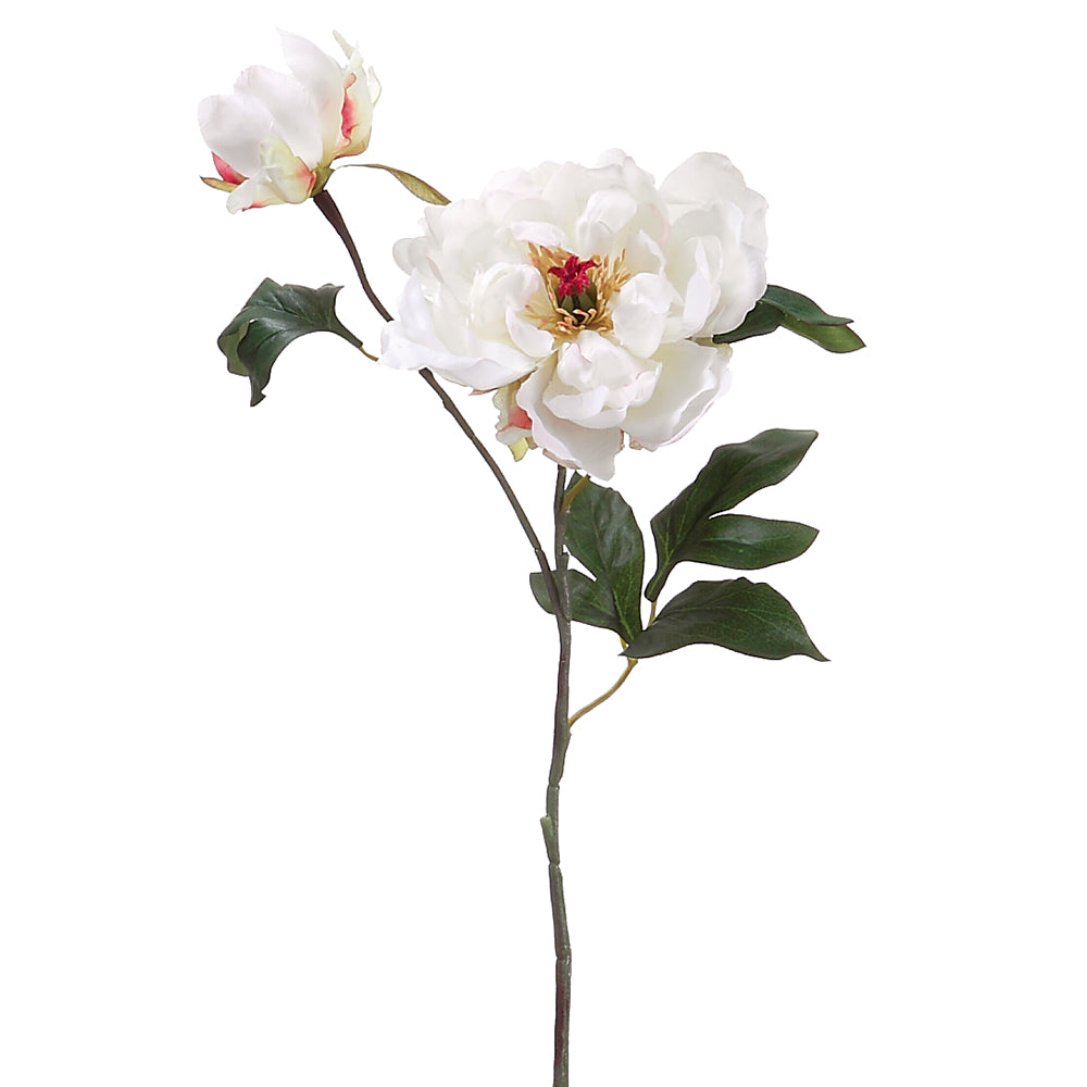 19.5" Silk Garden Peony Flower Spray Cream Peony Stem — Silks Are