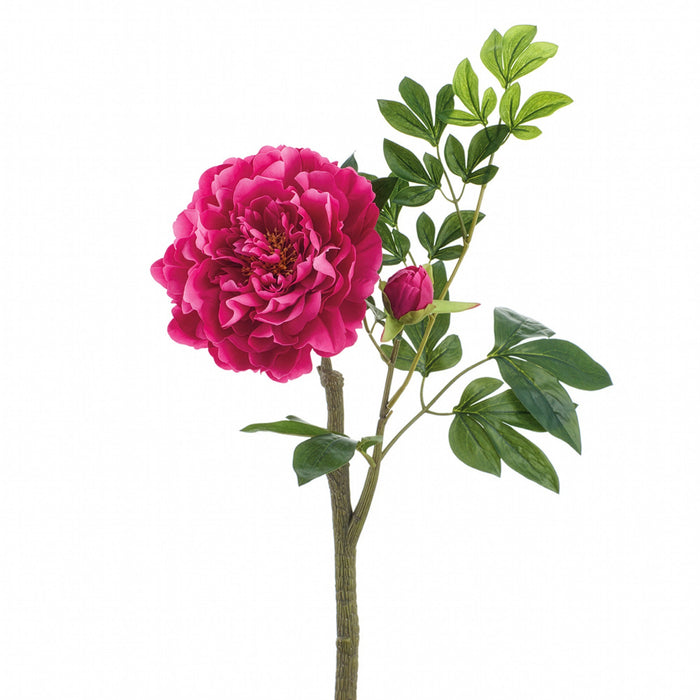 23" Real Touch Peony Silk Flower Stem -Beauty (Pack of 12) - FSP741-BT