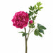 23" Real Touch Peony Silk Flower Stem -Beauty (Pack of 12) - FSP741-BT