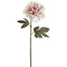 22" Peony Silk Flower Stem -Beige (pack of 12) - FSP744-BE