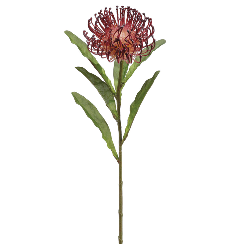 26" Silk Open Needle Protea Flower Spray Burgundy Protea Stem