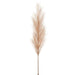 50" Artificial Pampas Grass Stem, Battery LED Pre-Lit -Blush (Pack of 12) - FSP785-BS