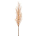 50" Artificial Pampas Grass Stem, Battery LED Pre-Lit -Blush (Pack of 12) - FSP785-BS