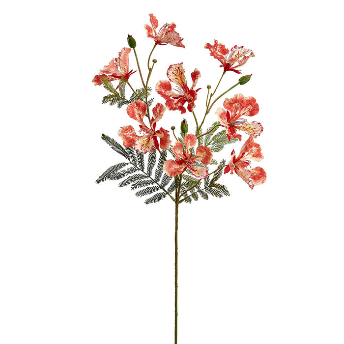 30" Royal Poinciana Silk Flower Stem -Red (Pack of 12) - FSP790-RE
