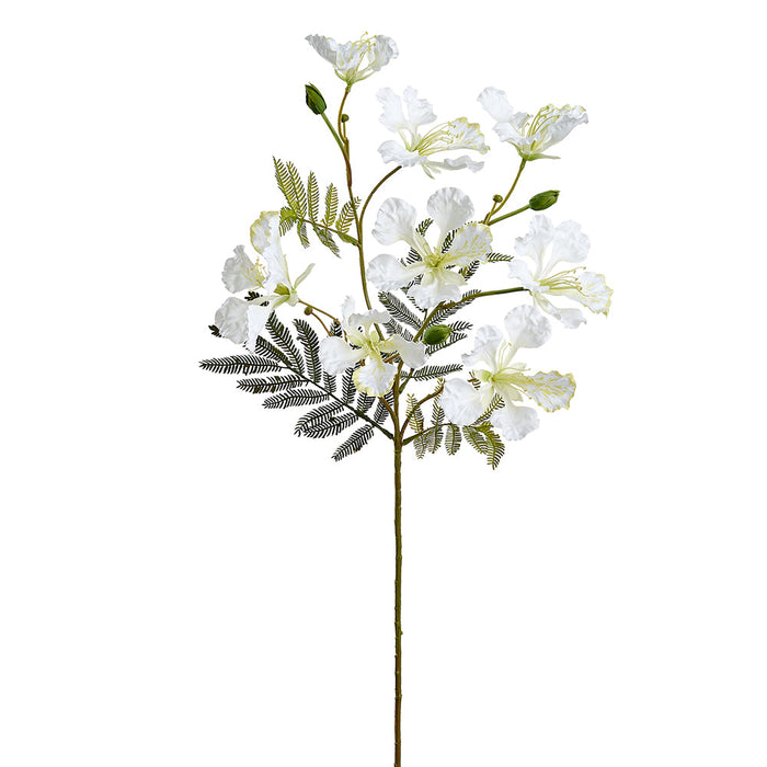 30" Royal Poinciana Silk Flower Stem -White (Pack of 12) - FSP790-WH