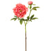 35" Silk Peony Flower Stem -Coral (pack of 12) - FSP795-CO