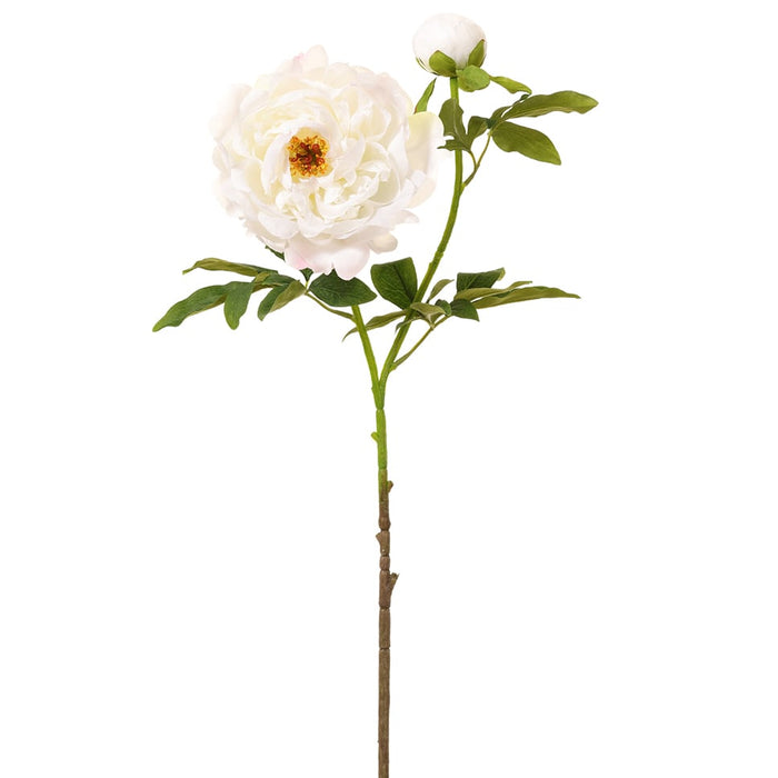 35" Silk Peony Flower Stem -White (pack of 12) - FSP795-WH