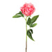 22" Peony Silk Flower Stem -Coral (pack of 12) - FSP796-CO