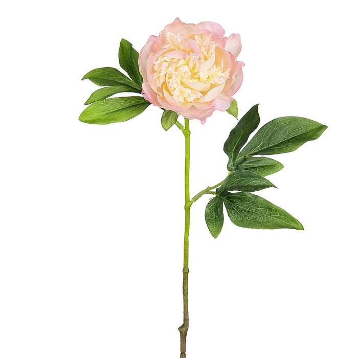 22" Peony Silk Flower Stem -Light Pink (pack of 12) - FSP796-PK/LT