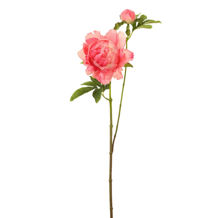 25" Peony Silk Flower Stem -Coral (Pack of 12) - FSP797-CO