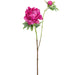 25" Peony Silk Flower Stem -Fuchsia (pack of 12) - FSP797-FU