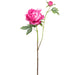 25" Peony Silk Flower Stem -Hot Pink (pack of 12) - FSP797-PK/HT