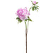 25" Peony Silk Flower Stem -Violet (pack of 12) - FSP797-VI
