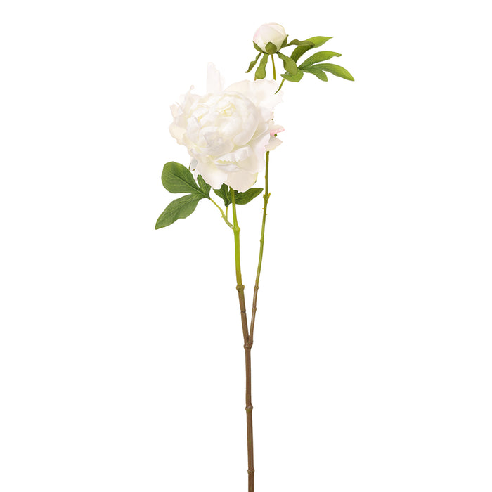 25" Peony Silk Flower Stem -White (Pack of 12) - FSP797-WH