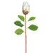 30.5" Silk Protea Flower Stem -White (pack of 12) - FSP823-WH