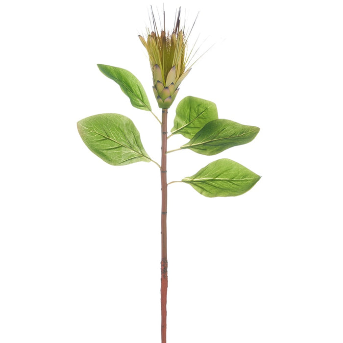31" Silk Protea Flower Stem -Green (pack of 12) - FSP824-GR