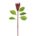 31" Silk Protea Flower Stem -Red (pack of 12) - FSP824-RE