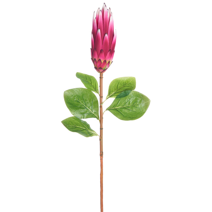 33" Silk Protea Flower Stem -Beauty (pack of 12) - FSP825-BT