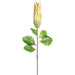 33" Silk Protea Flower Stem -Yellow (pack of 12) - FSP825-YE