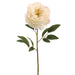 29" Silk Peony Flower Spray -Cream (pack of 12) - FSP829-CR