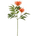 29" Protea Artificial Flower Stem -Orange (pack of 12) - FSP835-OR